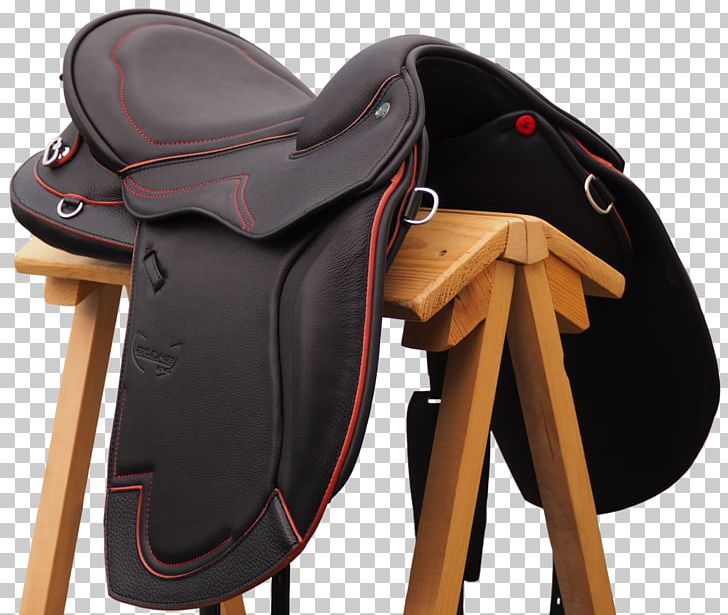 Saddle Horse Trail Riding Equestrian Leather PNG, Clipart,  Free PNG Download