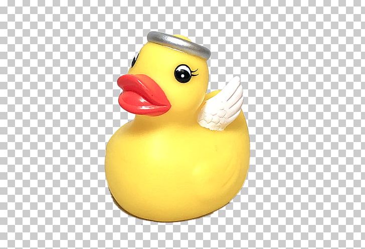 Duck Material PNG, Clipart, Animals, Beak, Bird, Duck, Ducks Geese And Swans Free PNG Download