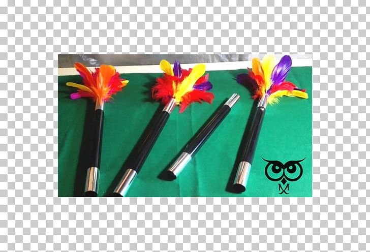 Flower PNG, Clipart, Feather Duster, Flower Free PNG Download