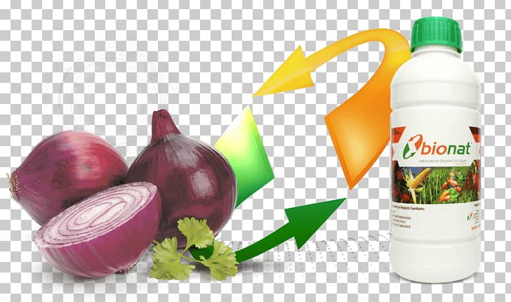 Red Onion Food Flavor Qualita Srls PNG, Clipart, Blockquote Element, Bulb, Diet Food, Dieting, Flavor Free PNG Download