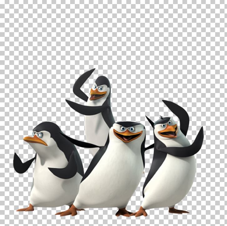 YouTube Skipper Madagascar Animated Film PNG, Clipart, Animated Film, Beak, Bird, Dreamworks Animation, Film Free PNG Download