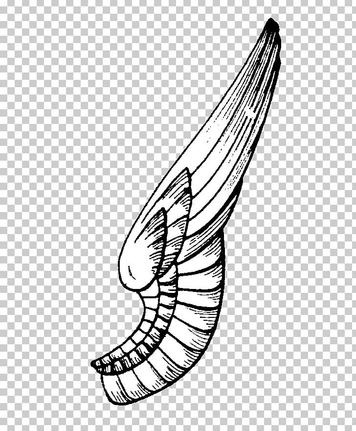 Drawing Butterfly Line Art PNG, Clipart, Angle, Art Museum, Artwork, Below, Bird Free PNG Download