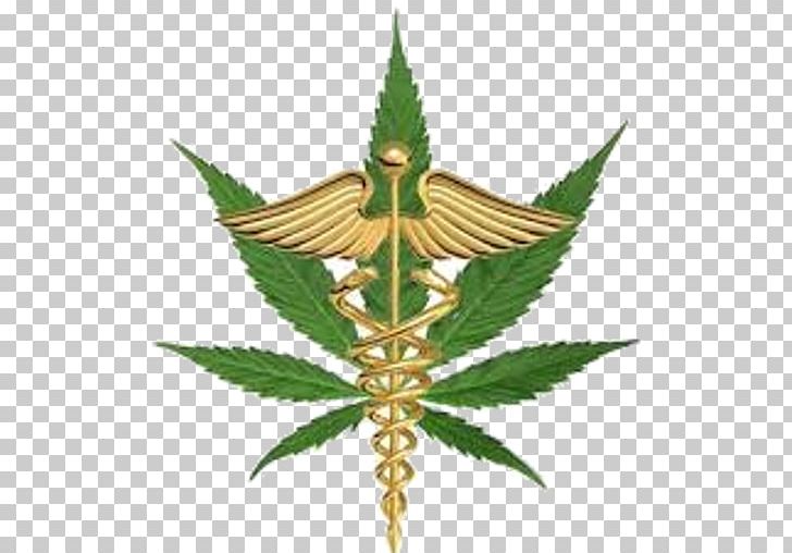 Florida Amendment 2 Medical Cannabis Constitutional Amendment PNG, Clipart, Cannabis, Compassion, Constitution, Constitutional Amendment, Dispensary Free PNG Download
