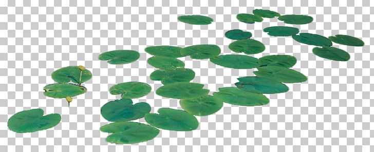 Nelumbo Nucifera PNG, Clipart, Body Jewelry, Changsha, Designer, Download, Drawing Free PNG Download