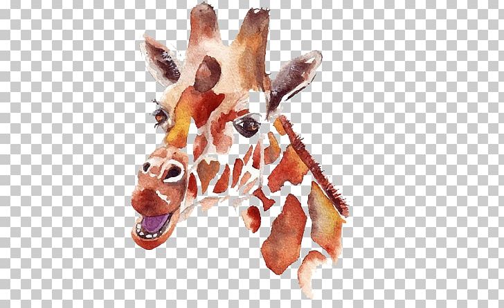 Northern Giraffe Watercolor Painting Drawing Illustration PNG, Clipart, Animals, Art, Cartoon, Giraffe, Giraffe Illustration Free PNG Download