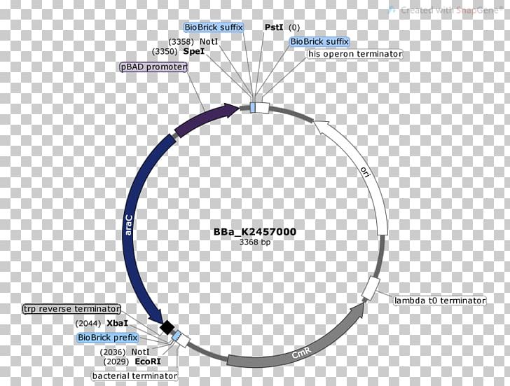 Technology Diagram PNG, Clipart, Circle, Cutie Map Part 1, Diagram, Electronics, Line Free PNG Download