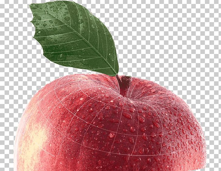 Apple Pencil Advertising Auglis PNG, Clipart, Advertising, Android, Apple, Apple Fruit, Apple Logo Free PNG Download