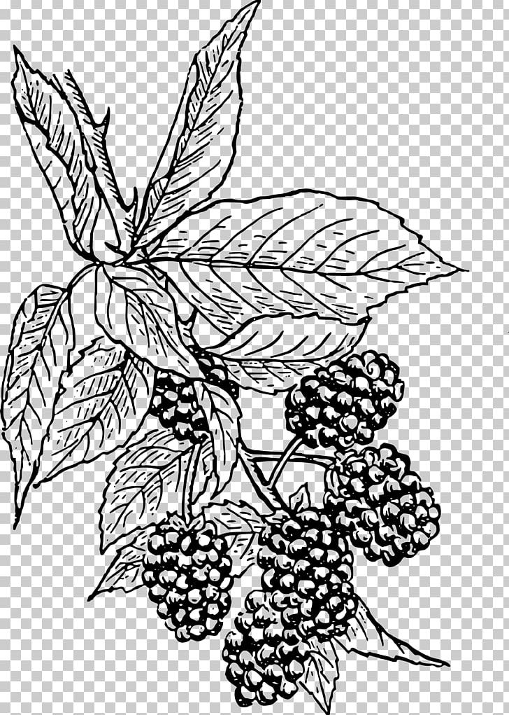 BlackBerry Bold 9700 PNG, Clipart, Artwork, Berry, Black And White, Blackberry, Blackberry  Free PNG Download