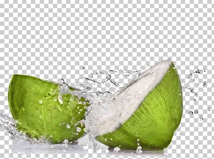 Coconut Water Smoothie Sports & Energy Drinks PNG, Clipart, Avocado, Citric Acid, Coconut, Coconut Oil, Coconut Water Free PNG Download