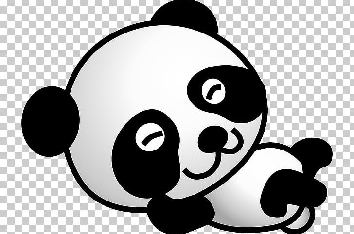 Giant Panda American Black Bear Drawing PNG, Clipart, American Black Bear, Animals, Artwork, Bear, Black Free PNG Download