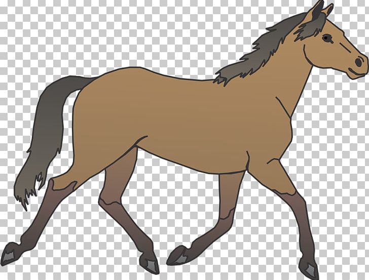 Horse Pony Foal PNG, Clipart, Anim, Animals, Bridle, Canter And Gallop, Collection Free PNG Download