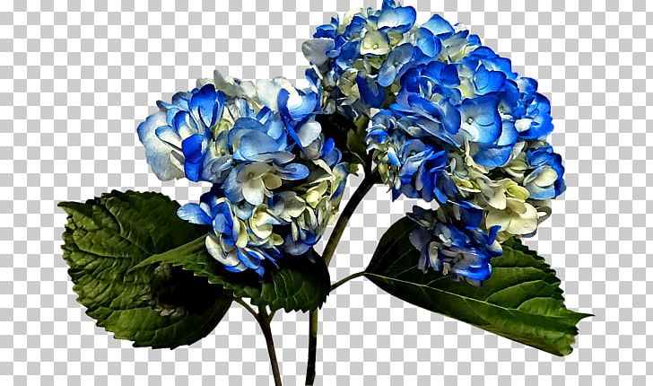 Hydrangea Floral Design Cut Flowers Flower Bouquet PNG, Clipart, Artificial Flower, Blue, Cornales, Cut Flowers, Floral Design Free PNG Download