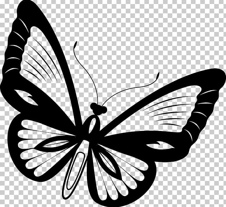 Monarch Butterfly Pieridae Brush-footed Butterflies PNG, Clipart, Arthropod, Black And White, Brush Footed Butterfly, Butterfly, Flower Free PNG Download