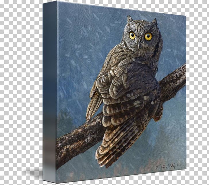 Owl Totem Beak Feminine Intuition Age Of Enlightenment PNG, Clipart, Age Of Enlightenment, Animals, Beak, Bird, Bird Of Prey Free PNG Download