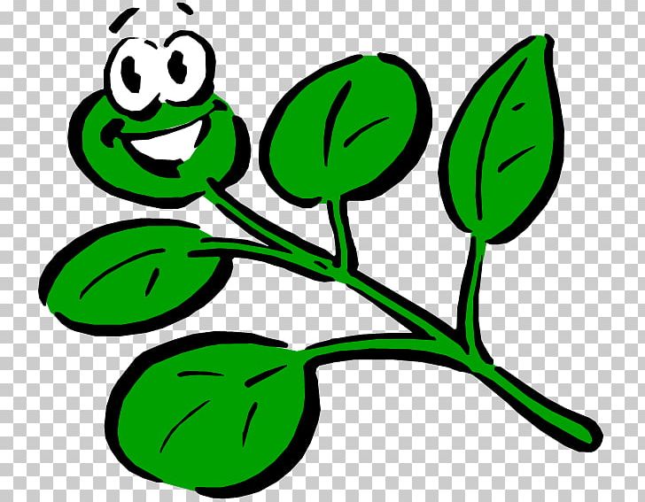 Plant Cartoon Drawing PNG, Clipart, Art, Artwork, Black And White, Botany, Branch Free PNG Download