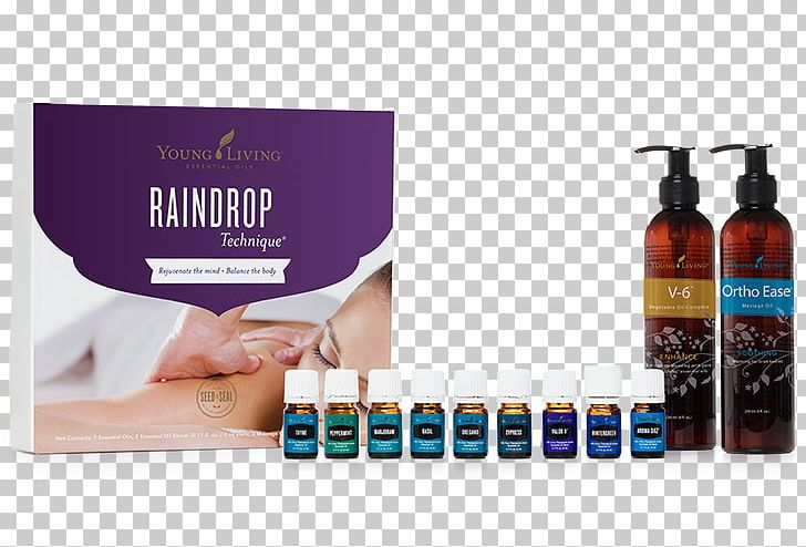 Raindrop Technique Young Living Essential Oil Massage Aromatherapy PNG, Clipart, Aroma Therapy, Aromatherapy, Bodywork, Donald Gary Young, Essential Oil Free PNG Download