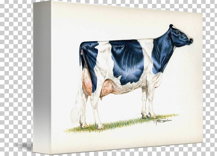 Dairy Cattle Holstein Friesian Cattle Guernsey Cattle Milk Highland Cattle PNG, Clipart, A2 Milk, Animal Husbandry, Breed, Cattle, Cattle Like Mammal Free PNG Download