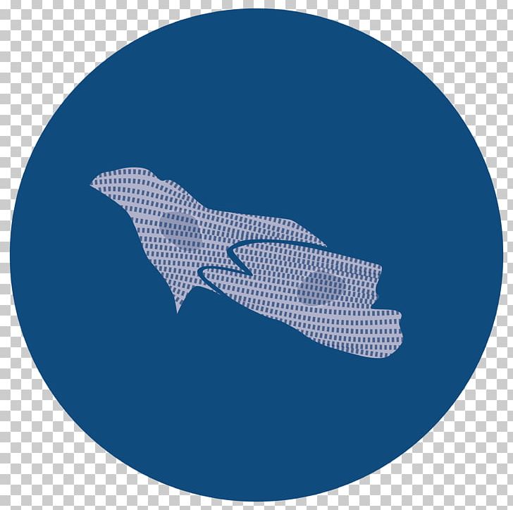 Dolphin Sky Plc Fish Font PNG, Clipart, Animals, Blue, Cd34, Circle, Dolphin Free PNG Download