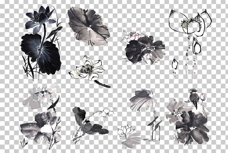 Nelumbo Nucifera Ink Wash Painting Chinese Painting PNG, Clipart, Black, Black And White, Branch, Chinese Art, Classical Free PNG Download