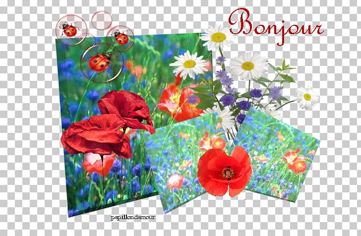 Apple Greeting & Note Cards Floral Design Plants PNG, Clipart, Apple, Flora, Floral Design, Flower, Flowering Plant Free PNG Download