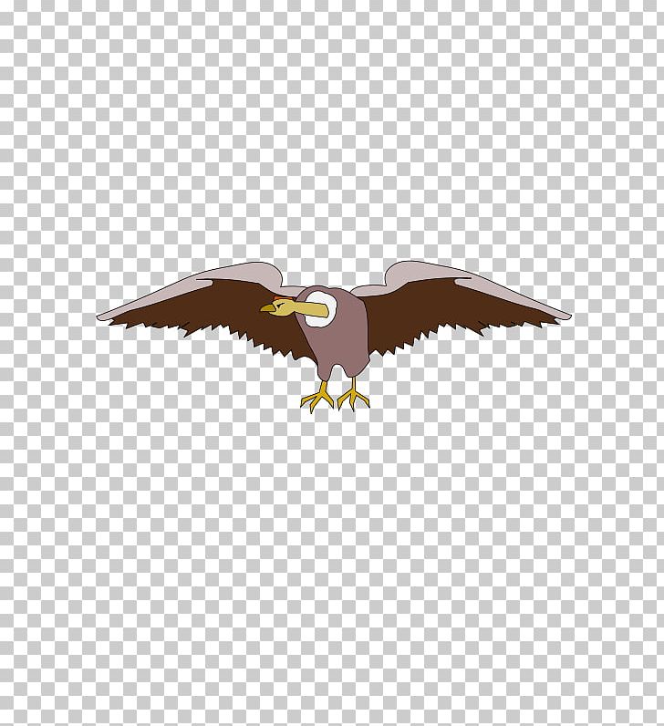 Bald Eagle Computer Icons PNG, Clipart, Accipitriformes, Bald Eagle, Beak, Bird, Bird Of Prey Free PNG Download