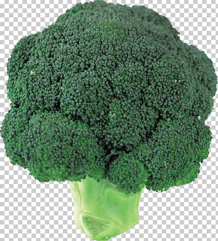 Broccoli Vegetable PNG, Clipart, Beachbody, Broccoli, Broccoli Slaw, Cauliflower, Download Free PNG Download