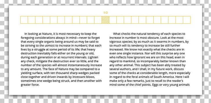 Document Line PNG, Clipart, Area, Document, Line, Paper, Paper Product Free PNG Download