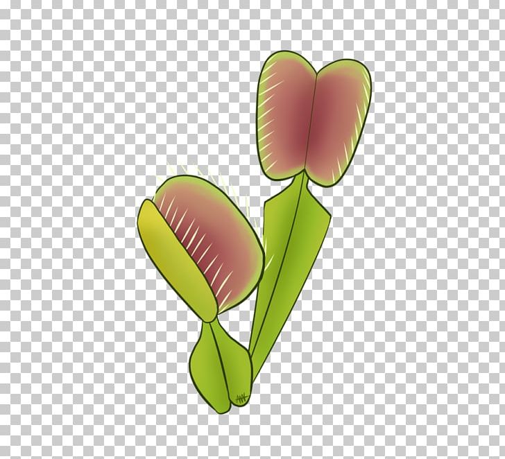 Petal Leaf Plant Stem PNG, Clipart, Flower, Leaf, Organism, Petal, Plant Free PNG Download