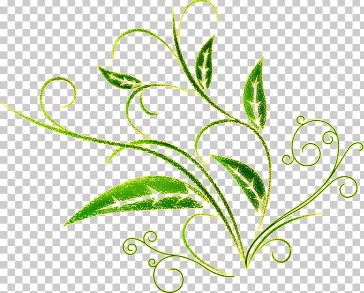 Riumba Peter Kimani PNG, Clipart, Download, Flora, Flower, Fruit Nut, Grass Free PNG Download