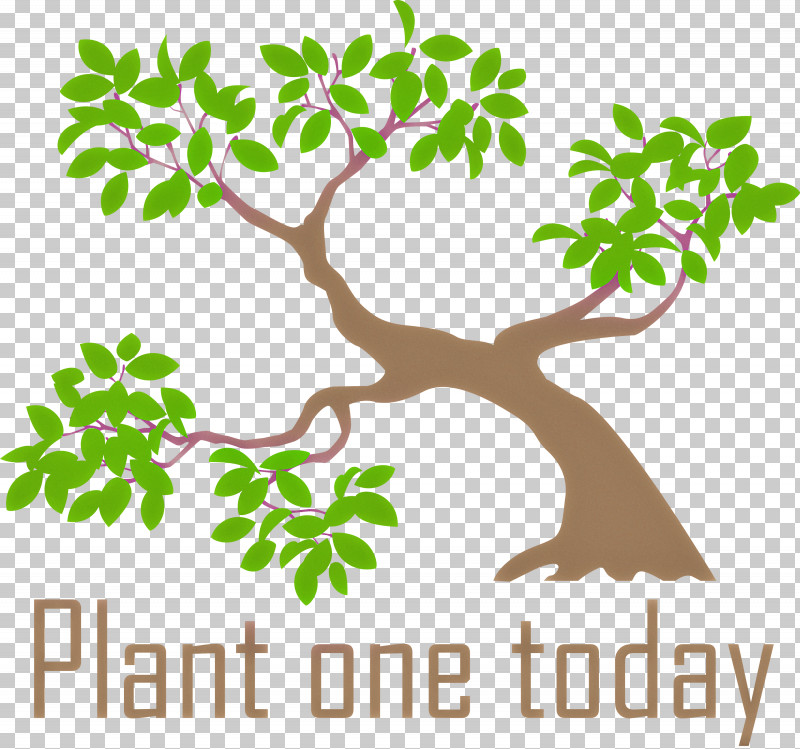 Plant One Today Arbor Day PNG, Clipart, Arbor Day, Branch, Flower, Leaf, Oak Free PNG Download