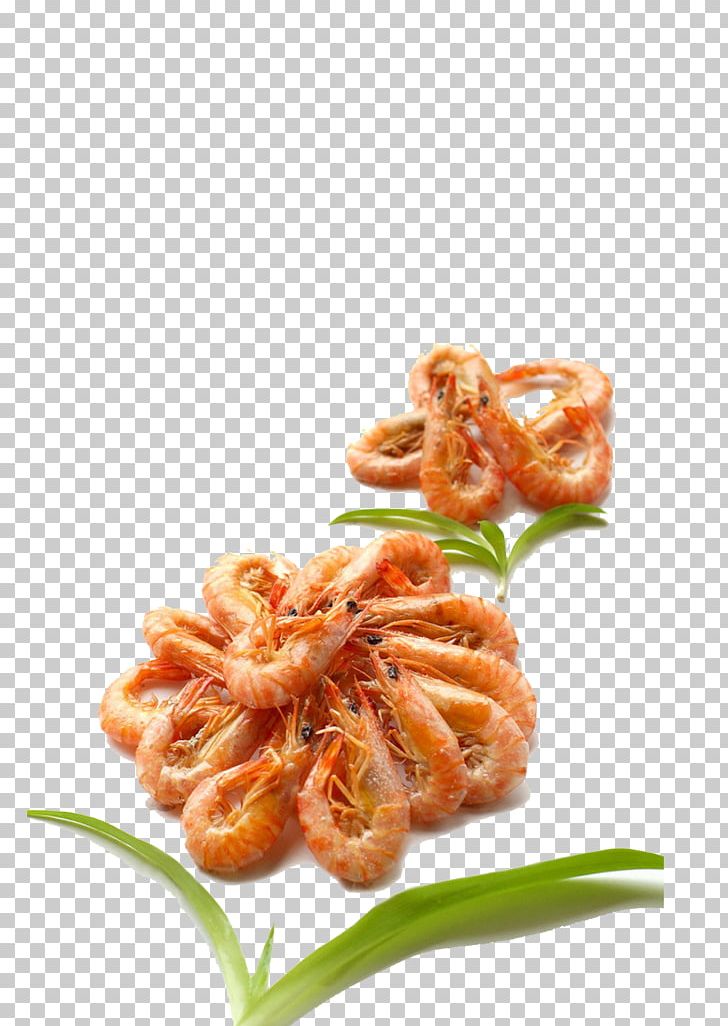 Caridea Barbecue Shrimp Roasting PNG, Clipart, Animal Source Foods, Barbecue, Cooked Shrimp, Cuisine, Dining Free PNG Download
