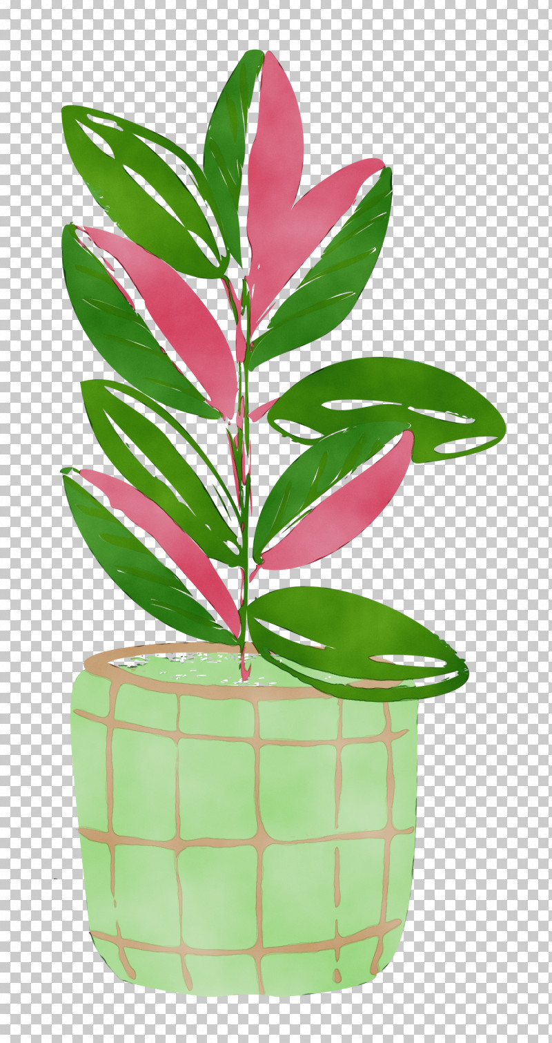 Leaf Plant Stem Houseplant Flowerpot Tree PNG, Clipart, Biology, Flowerpot, Garden, Gardening, Houseplant Free PNG Download