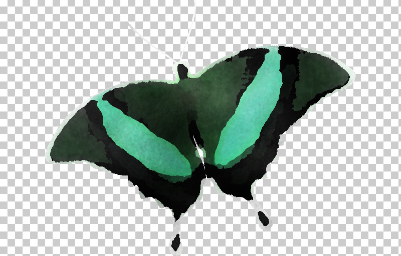 Moth PNG, Clipart, Moth Free PNG Download