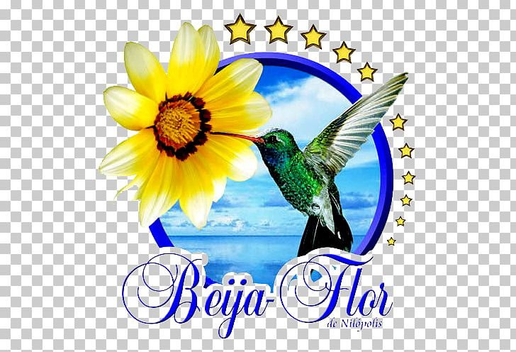 Beija-Flor Logo Symbol PNG, Clipart, Beak, Beijaflor, Bird, Carnival, Desktop Wallpaper Free PNG Download