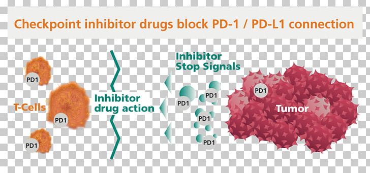 Checkpoint Inhibitor PD-1 And PD-L1 Inhibitors Immune Checkpoint Programmed Cell Death Protein 1 Cancer PNG, Clipart, Brand, Cancer, Checkpoint Inhibitor, Drug, Immune Checkpoint Free PNG Download