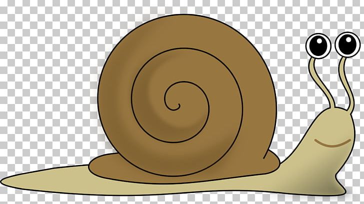 Snail PNG, Clipart, Clip Art, Download, Free Content, Gastropod Shell, Heliciculture Free PNG Download