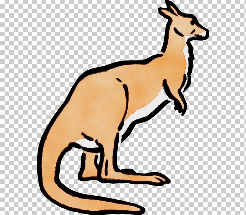 Macropods Red Fox Kangaroo Marsupials Tail PNG, Clipart, Kangaroo, Macropods, Marsupials, Meter, Paint Free PNG Download