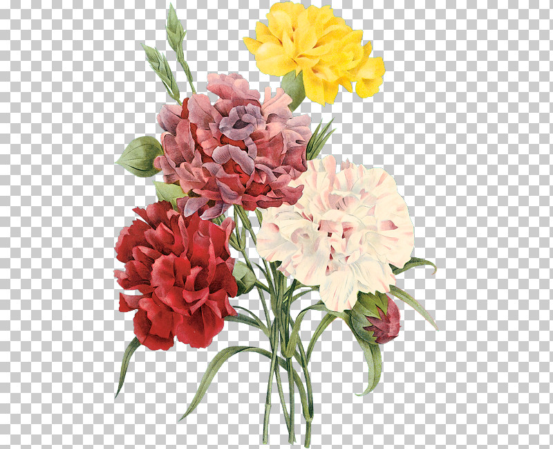 Artificial Flower PNG, Clipart, Artificial Flower, Bouquet, Carnation, Cut Flowers, Dianthus Free PNG Download