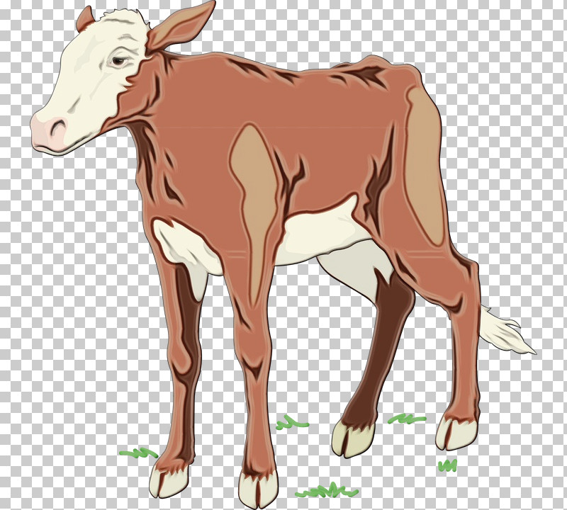 Dairy Cattle Goat Calf Holstein Friesian Cattle Ox PNG, Clipart, Calf, Dairy, Dairy Cattle, Dairy Farming, Farm Free PNG Download