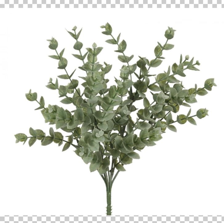 Branch Tree Twig Plant Stem Leaf PNG, Clipart, Branch, Flowerpot, Leaf, Lilac, Nature Free PNG Download