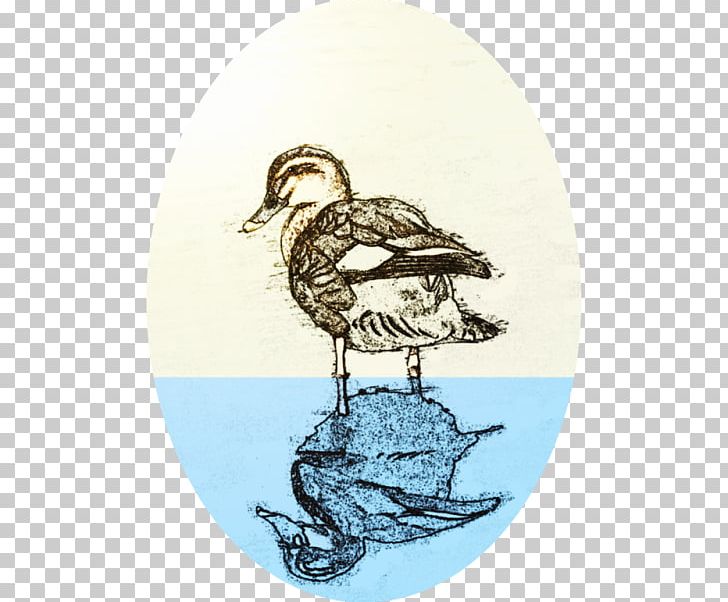 Duck Beak Fauna Water Bird PNG, Clipart, Animals, Beak, Bird, Duck, Ducks Geese And Swans Free PNG Download