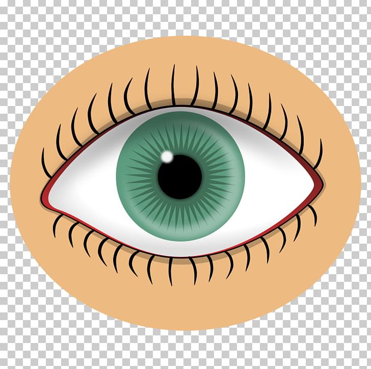 Eye Color Visual Perception PNG, Clipart, Closeup, Color, Desktop Wallpaper, Download, Eye Free PNG Download