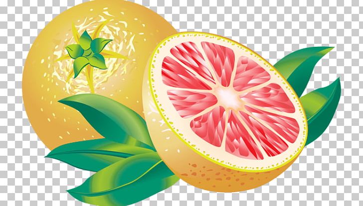 Juice Grapefruit Lemon PNG, Clipart, Citric Acid, Citron, Citrus, Clip Art, Diet Food Free PNG Download