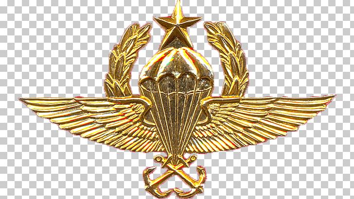 Mexico Brigada De Fusileros Paracaidistas Paratrooper Naval Infantry Force Mexican Navy PNG, Clipart, Airborne Forces, Army, Badge, Battalion, Brass Free PNG Download