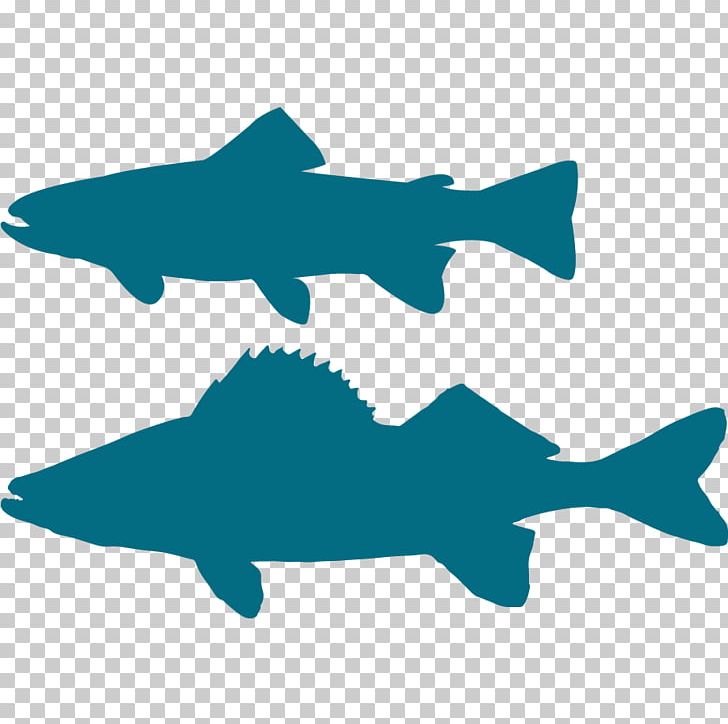 Silhouette Brook Trout Shark PNG, Clipart, Airplane, Animals, Brook Trout, Brown Trout, Cartilaginous Fish Free PNG Download