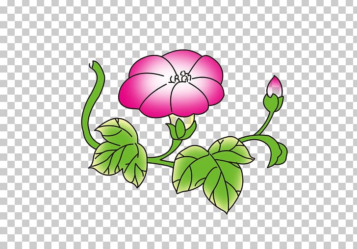 Flower Adobe Illustrator Ipomoea Nil Information PNG, Clipart, Adobe, Beach Rose, Bud, Download, Flora Free PNG Download