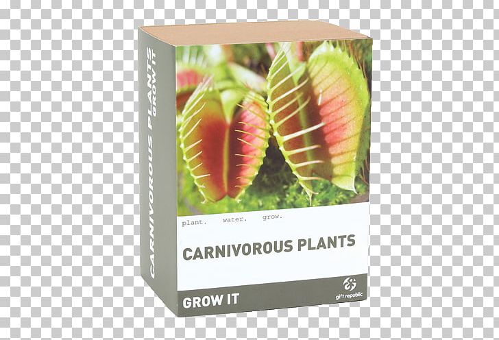 Insect Drosera Carnivorous Plant Venus Flytrap Pitcher Plant PNG, Clipart, Beneficial Insects, Carnivore, Carnivorous Plant, Drosera, Droseraceae Free PNG Download