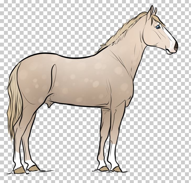 Mule Foal Bridle Mustang Mare PNG, Clipart,  Free PNG Download