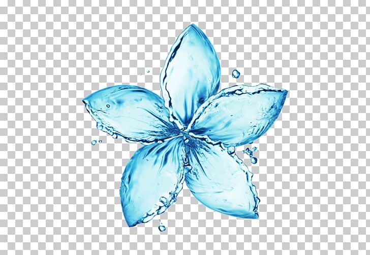 Stock Photography Water Flower Drop PNG, Clipart, Aqua, Butterfly, Clean, Color, Drop Free PNG Download