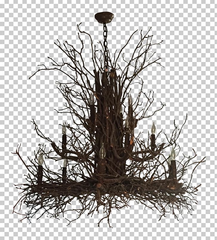 Twig Branch Chandelier Light Fixture Lighting PNG, Clipart, Bird Nest, Branch, Brass, Chairish, Chandelier Free PNG Download